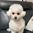 @신윤희-h1u