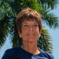 Ellen in Sarasota  net worth