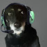 mu9rXSZOMe0-channel-avatar-SkyChrisOne