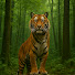 RLGu3dPaVV4-channel-avatar-Người Kể Chuyện Rừng