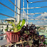 gI13zUBvLAw-channel-avatar-Momana's Cooking 
