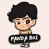 PANDA BOI