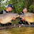 Olivier & Mitch Carpfishing TV