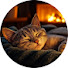 aSQT0w0JZ7Y-channel-avatar-Cat Healing Music