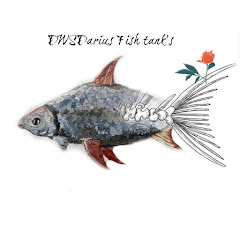 DWSDARIUS FISH TANKS Avatar