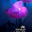 @نوجاجلال-ط4ف
