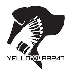 Yellowlab247 Outdoors