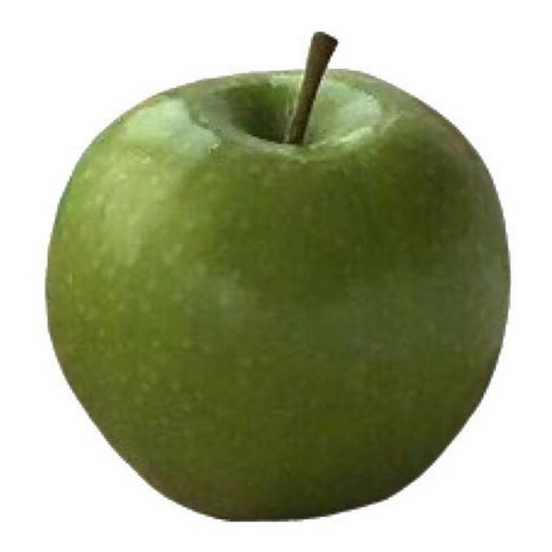 はなのにちようびのサムネイル