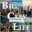 @bigcitylife8991