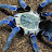 Avatar photo