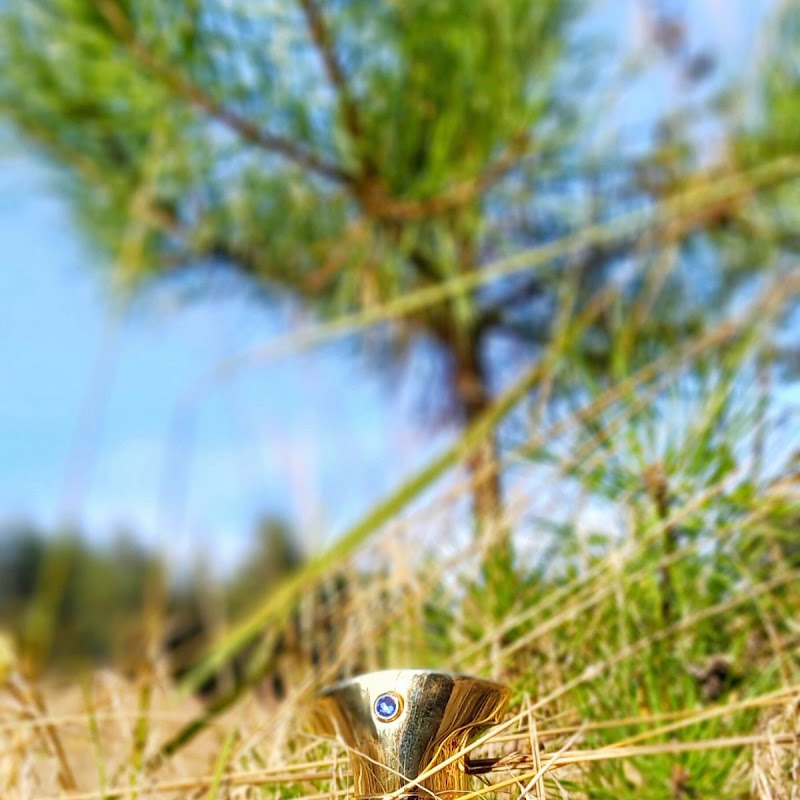Travelling Aja POV