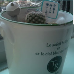 さぼてんのゲーム成長記録アイコン画像