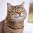 _EUfxnO34Mg-channel-avatar-Cats Insider 