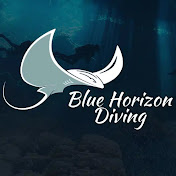 Blue Horizon Diving