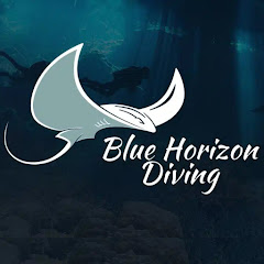 Blue Horizon Diving Avatar