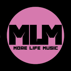 More Life Music net worth