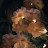 @الماسه-ج3ل