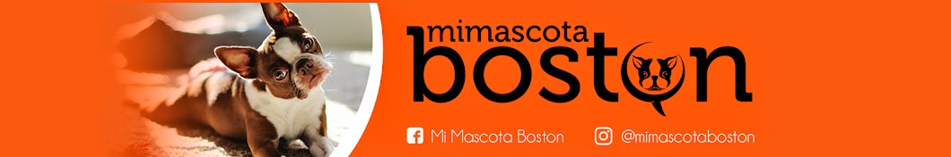 mimascotaboston YouTube channel avatar