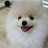 @알콩달콩-f6e