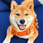 Simba The Shiba logo