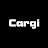 @Cargi_Tuning