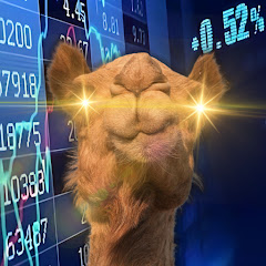 Camel Finance