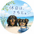 UPMJeBooU74-channel-avatar-さち