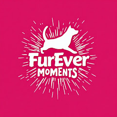 Fur-Ever Moments