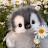 @Binn-z7n