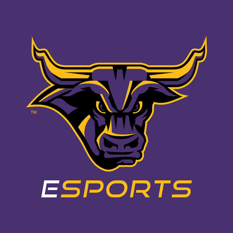 Maverick Esports