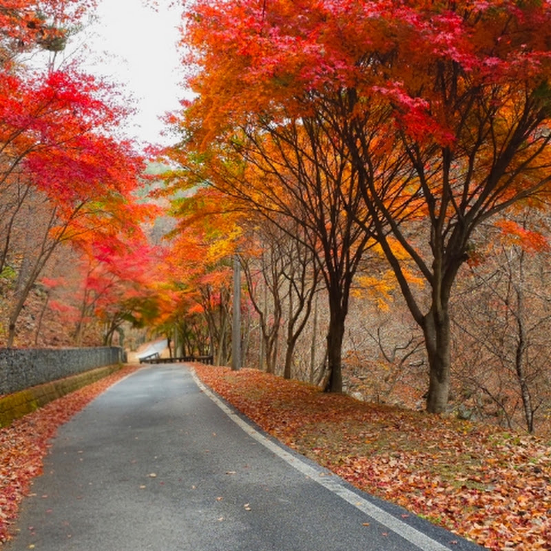 어리산밴드
