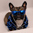 @ninothefrenchie235
