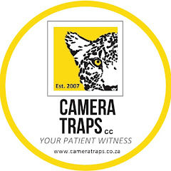Camera Traps - Southern Africa Avatar