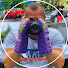 nqCUVKvDIWo-channel-avatar-Hoffmann Szilárd  Travel & Technic