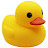 Ducky