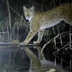 Bildung & Natur 🇨🇭