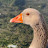 @WafaaAssaf-qx9fi