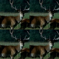 thumbnail img1x1