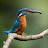 @touchedbynature5445 Avatar