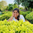 @sirijogi6750 Avatar