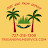 @treeandpalmservice