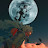 @yoshh21 Avatar