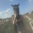 @Ilovehorses-h1x