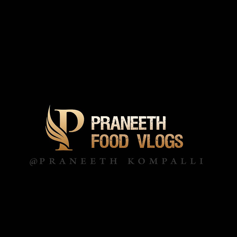Praneeth Daily Vlogs