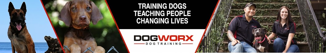 DogWorx - dog training Savannah YouTube channel avatar