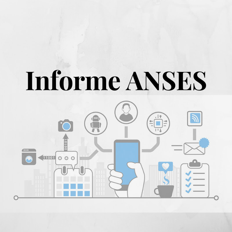 INFORME ANSES