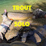 HqYRJcgtiYM-channel-avatar-Trout Solo