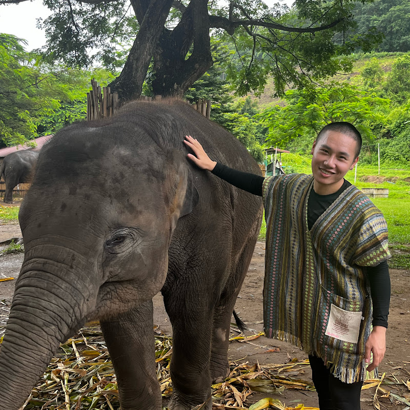 Vincent文深特 Logo