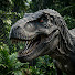 1QOaF2Z6OGs-channel-avatar-Dino Arena