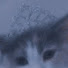 N0zbooeeNKg-channel-avatar-Laylac